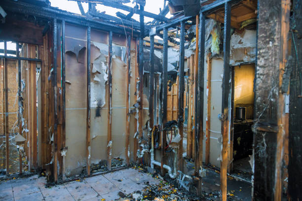 Professional Fire Damage Restoration technician working in Springfield, MN