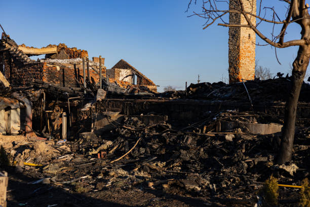 Reliable Fire Damage Restoration contractor in Springfield, MN by Fire Damage Doption